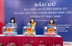 越南大多数地区选民投票率较高
