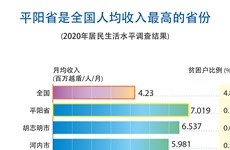图表新闻：平阳省是全国人均收入最高的省份