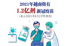 图表新闻：2021年越南将有1.2亿剂新冠疫苗