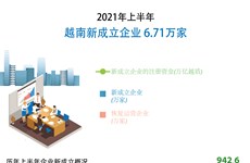 图表新闻：2021年上半年越南新成立企业6.71万家