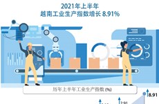 图表新闻：2021年上半年越南工业生产指数增长8.91%