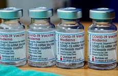 首批辉瑞/拜恩泰科复必泰疫苗已运抵越南
