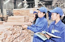 越南木制企业在韩国市场的潜力巨大 