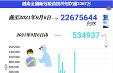 互动图表：越南全国新冠疫苗接种剂次超2267万