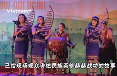 ‘森林之梦’音乐晚会——富有西原地区民族同胞文化特色的音乐盛宴