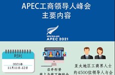 图表新闻：APEC工商领导人峰会主要内容