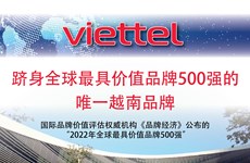 图表新闻：VIETTEL 跻身全球最具价值品牌500强的唯一越南品牌