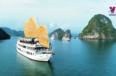 越南旅游全面开放   确保游客的健康安全放在首位