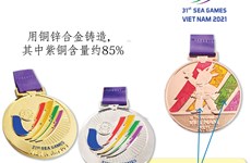 图表新闻：第31届东南亚运动会的奖牌