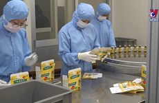 越南药材对日本市场出口潜力巨大