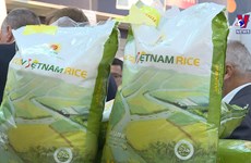 越南大米首次在法国E.Leclerc超市上架