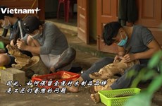 探访广南省会安市数百年历史的木制品手工制作村
