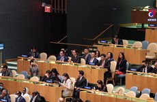 越南第二次当选联合国人权理事会成员国