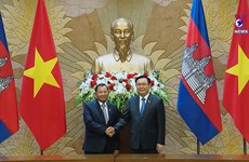越南国会主席王廷惠与柬埔寨参议院主席赛宗举行会谈