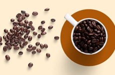 图表新闻：越南咖啡出口总额有望突破40亿美元大关