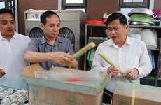 越南和平省向美国出口第一批新鲜甘蔗