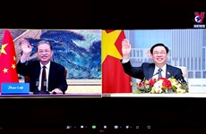 越南国会主席王廷惠同中国全国人大常委会委员长赵乐际举行视频会谈