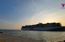 ​  全球最大集装箱船靠泊越南盖梅-施威港口