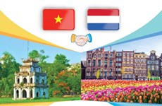 图表新闻：越南-荷兰全面伙伴关系
