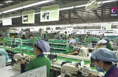越南：今年六月份复工企业数量大幅增长