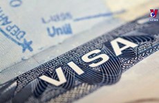 新签证政策成为旅游业发展的重要催化剂