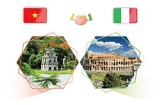 图表新闻：越南-意大利战略伙伴关系继续深入发展