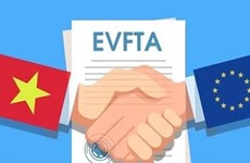 经过三年的实施EVFTA为越南商品打入欧洲市场创造机会