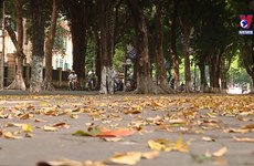 河内秋天—一年当中最值得一游的季节