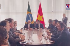 越南政府总理范明政与巴西总统路易斯·伊纳西奥举行会谈