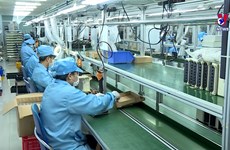 经济专家指出2024年越南经济增长的四大动力