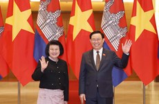 越南国会主席王廷惠与柬埔寨国会主席昆索达莉举行会谈