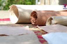 和平省芒族人楮纸制造业  承载着独特文化内涵