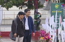 越南诗歌日：享受越南诗歌之美  增强民族大团结
