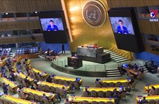 联合国大会通过由越南提倡的“国际玩耍日”决议
