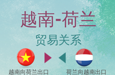 互动图表 ：越南—荷兰的贸易关系