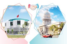 图表新闻：越南—古巴特殊传统合作关系