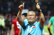 图表新闻：越南足球队在朴恒绪带领下创造了历史佳绩