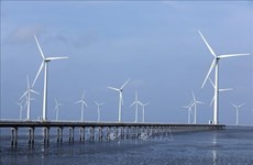 越南充分挖掘海上风电制氢优势