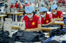 互动图表： 2024年前2月 越南纺织服装出口额同比增长15%