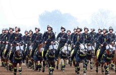 组图：全面打造专业化、现代化的越南机动警察骑兵队伍