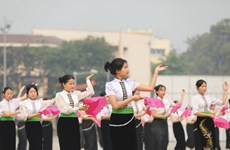 组图：奠边府大捷70周年：奠边省民间舞和街舞正式公演