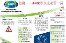 图表新闻：越南—— APEC积极主动的一员