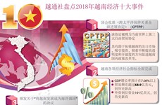 图表新闻：2018年越南经济十大事件盘点