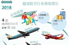 图表新闻：2018年越南航空行业继续增长