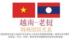 图表新闻：越南与老挝特殊团结关系