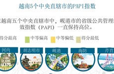 图表新闻：越南5个中央直辖市的PAPI指数