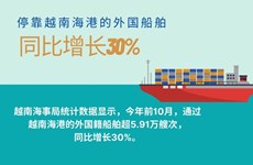 图表新闻：停靠越南海港的外国船舶同比增长30%