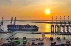 巴地头顿省与海港相结合的自由贸易区取得突破性发展