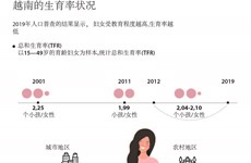 图表新闻：越南的生育率状况