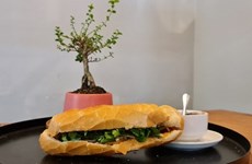 全球50大街头美食榜单出炉  越南面包排名第七位